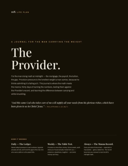 The Provider — cover